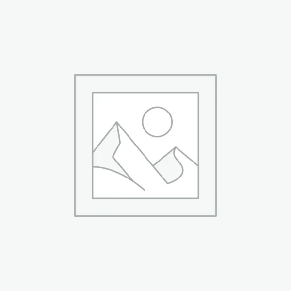 Prototipos Rápidos